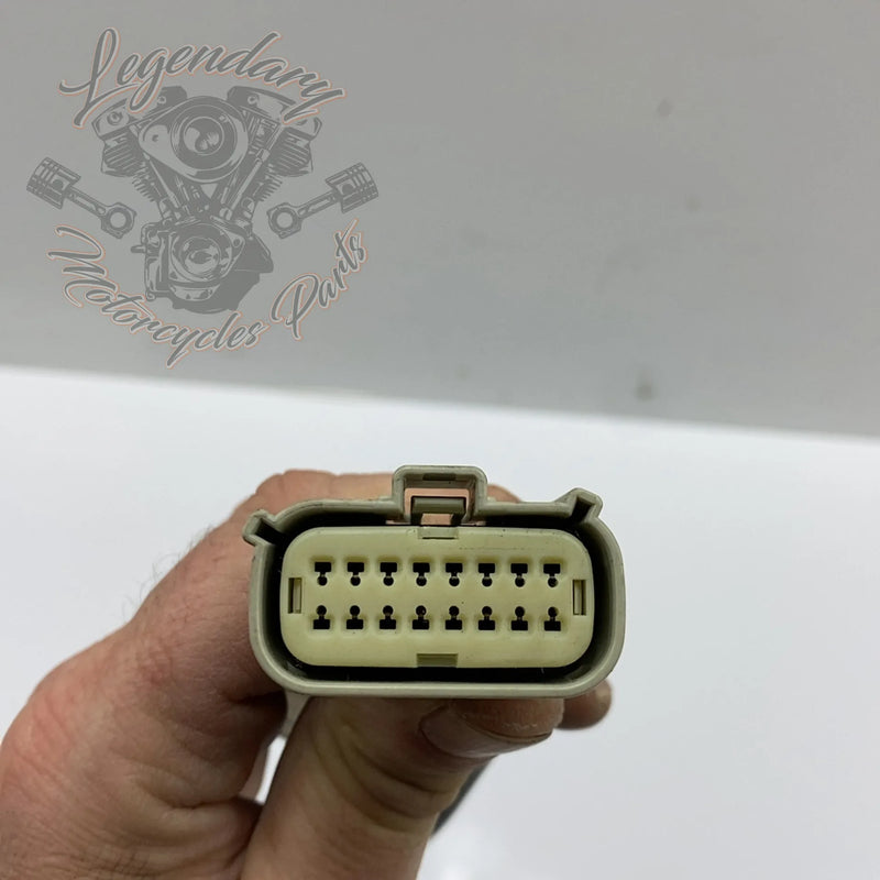 WHIM Wiring Harness OEM 69201751 – Legendary Parts
