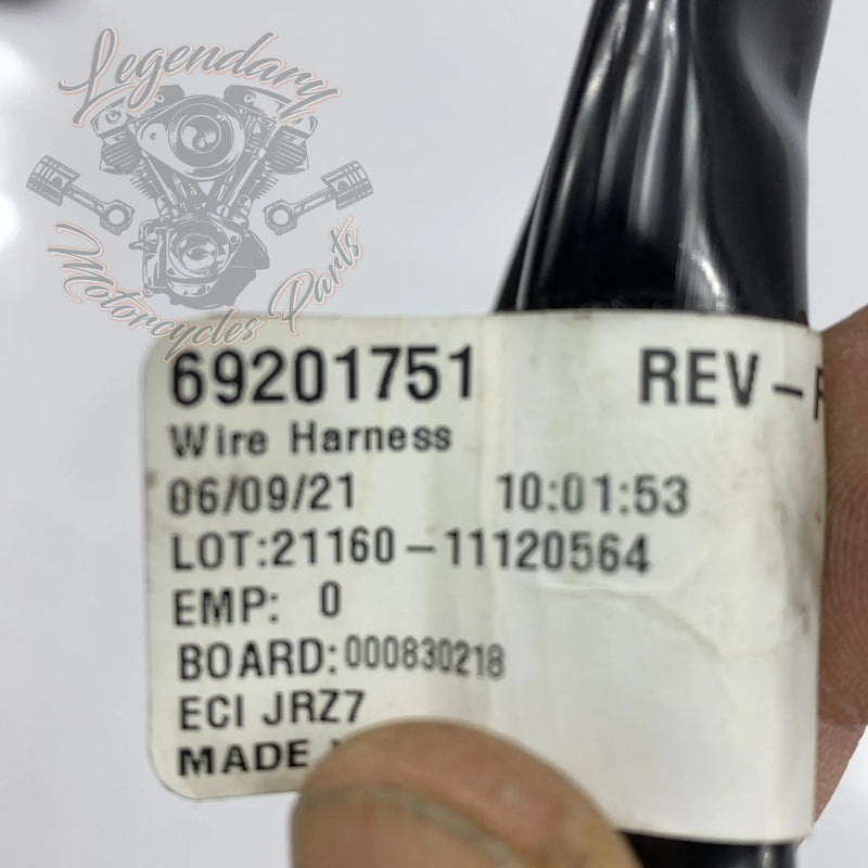 WHIM Wiring Harness OEM 69201751 – Legendary Parts