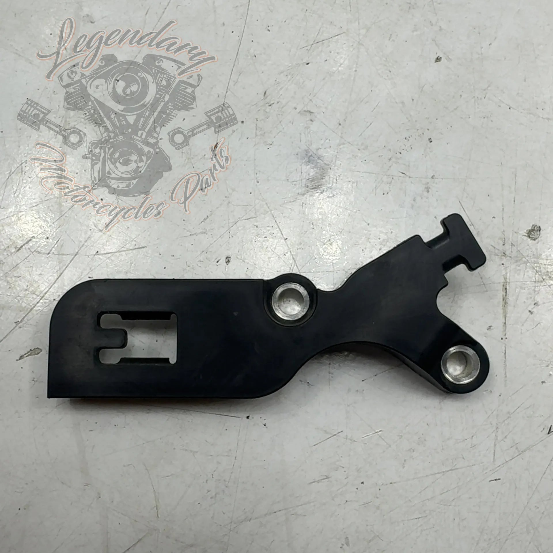 Swingarm Harness Support OEM 69201844 – Legendary Parts