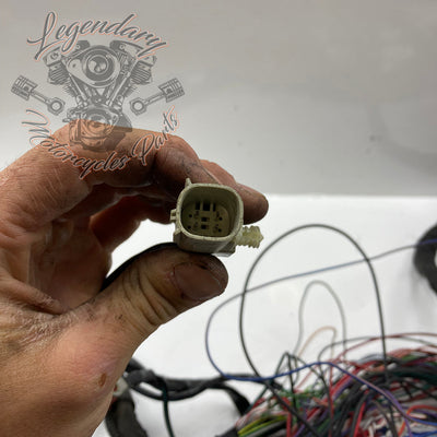 Wiązka główna OEM 69201991