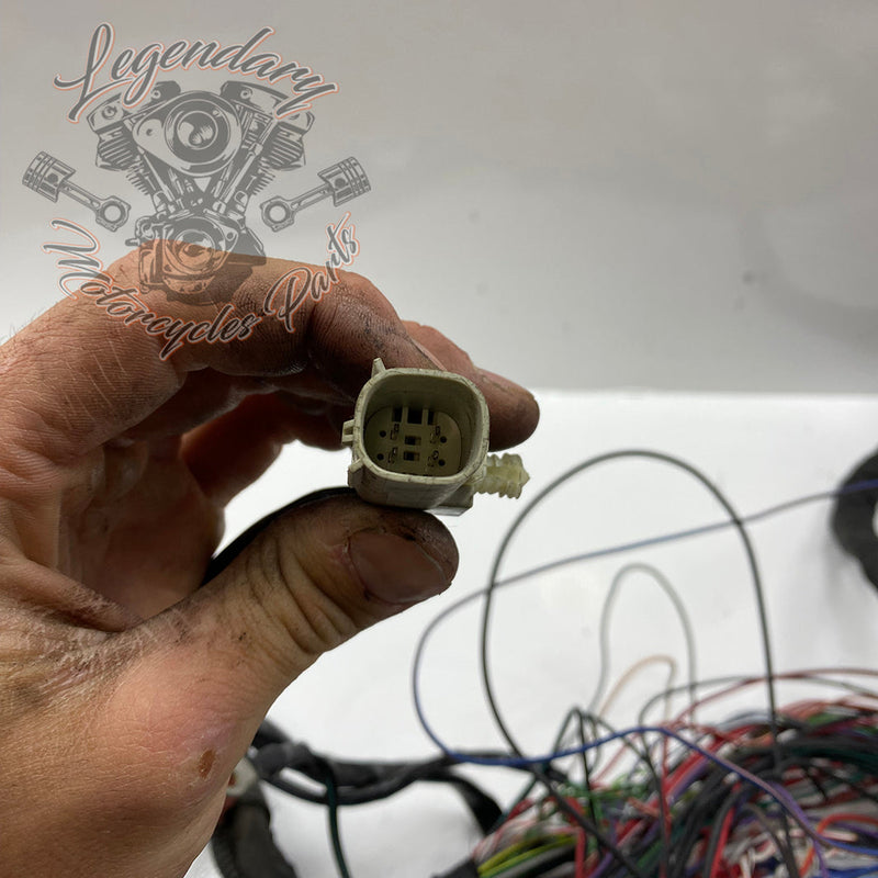 Wiązka główna OEM 69201991