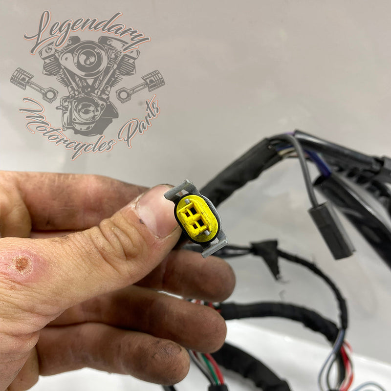 Wiązka główna OEM 69201991