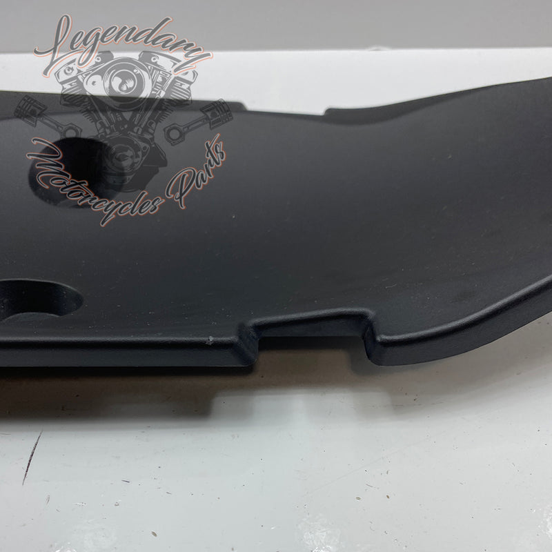 Mudflap OEM 69202218