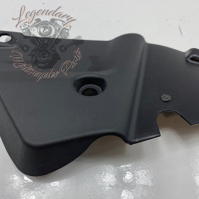 Right Side Cover OEM 69202424