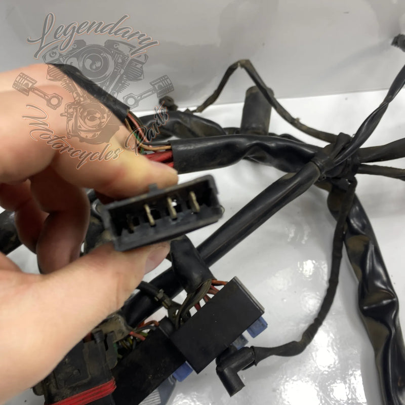Faisceau principal OEM 69558-04A