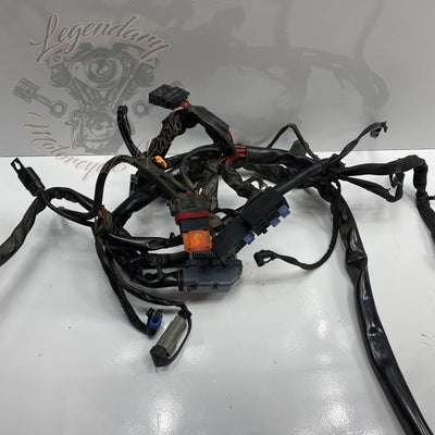 Faisceau principal OEM 69558-04A
