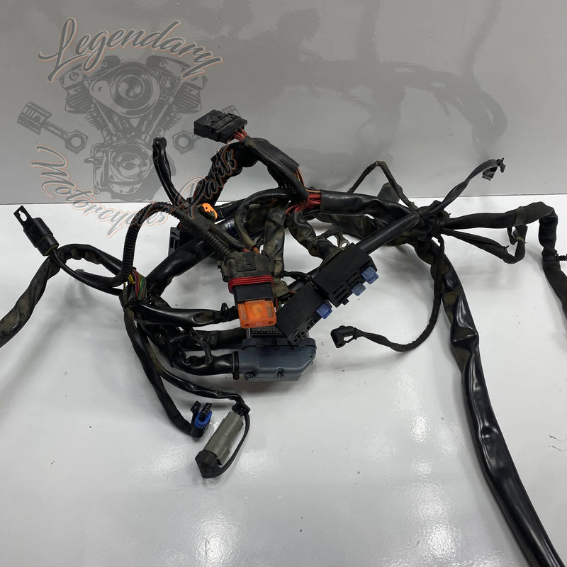 Faisceau principal OEM 69558-04A