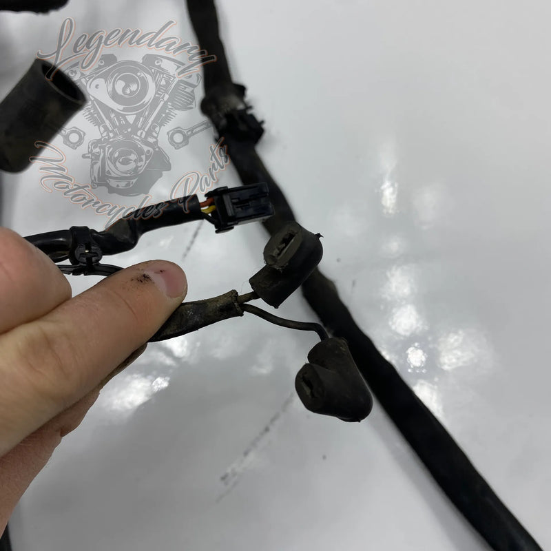 Faisceau principal OEM 69558-04A
