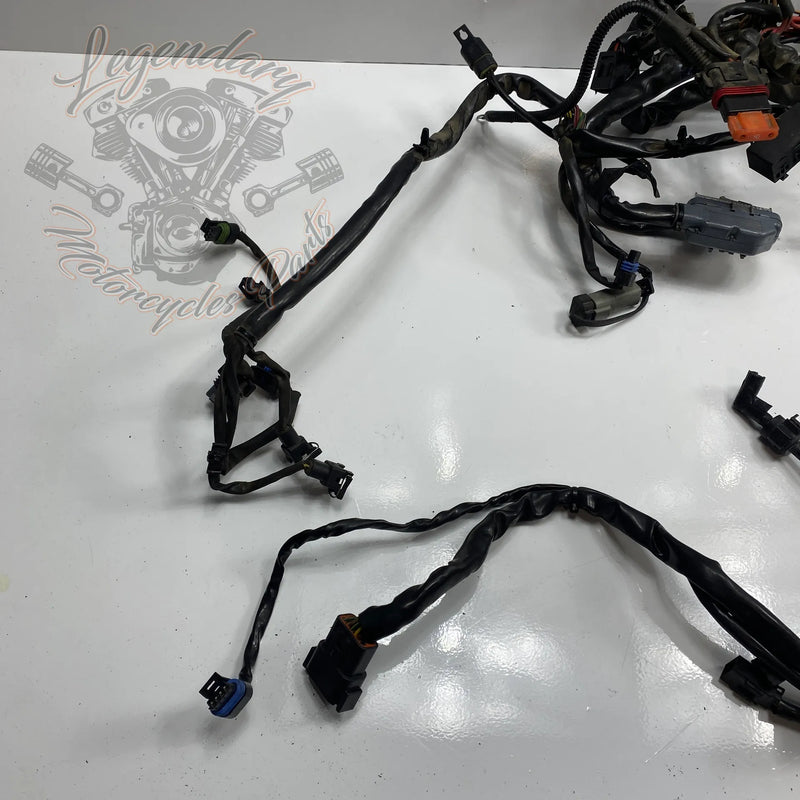 Faisceau principal OEM 69558-04A