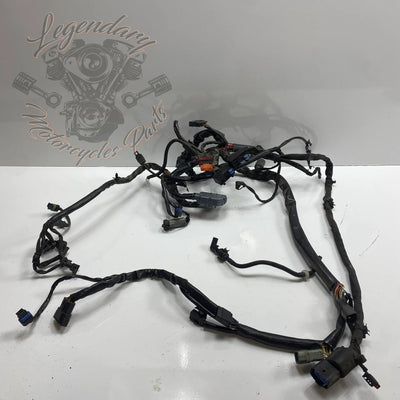 Faisceau principal OEM 69558-04A
