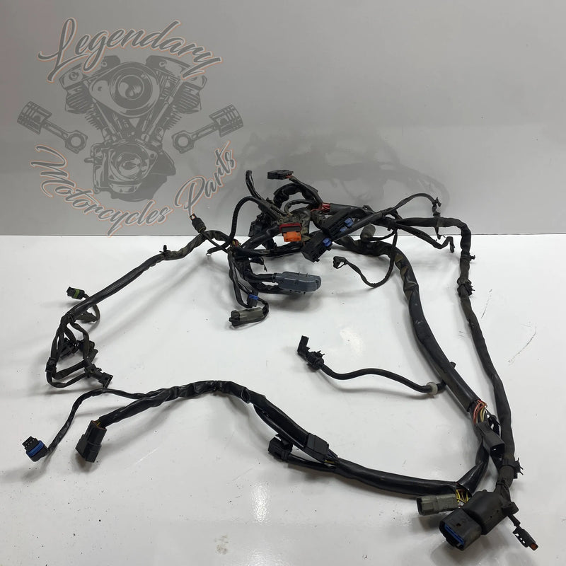 Faisceau principal OEM 69558-04A