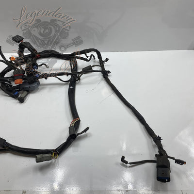 Faisceau principal OEM 69558-04A