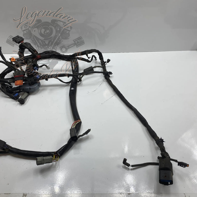 Faisceau principal OEM 69558-04A