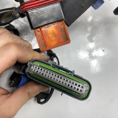 Faisceau principal OEM 69558-04A