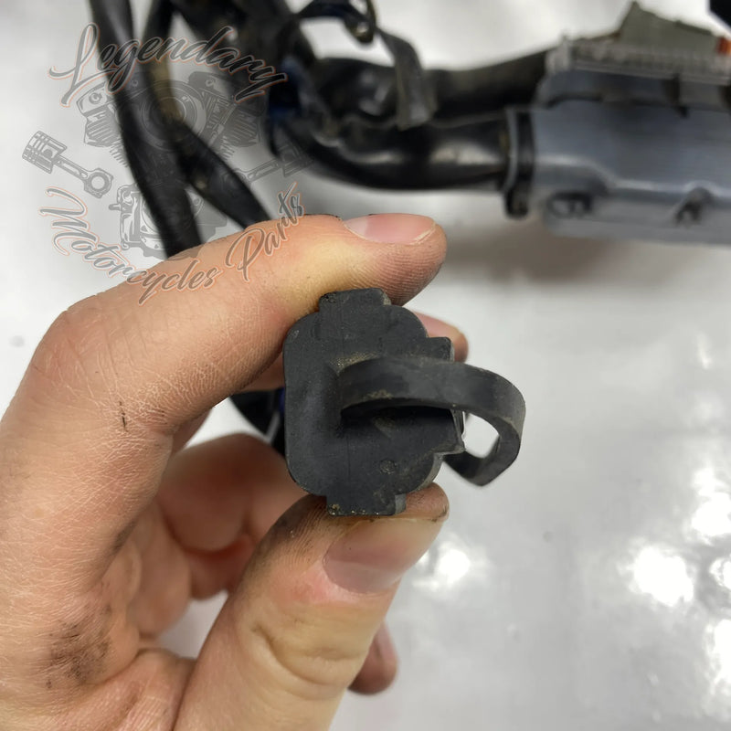 Faisceau principal OEM 69558-04A
