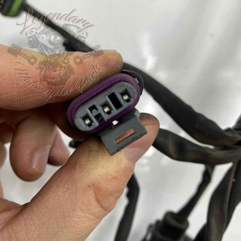 Faisceau principal OEM 69558-04A
