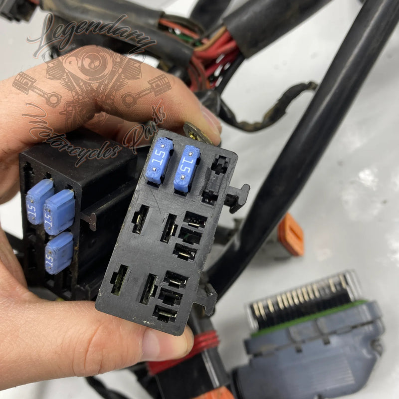 Faisceau principal OEM 69558-04A