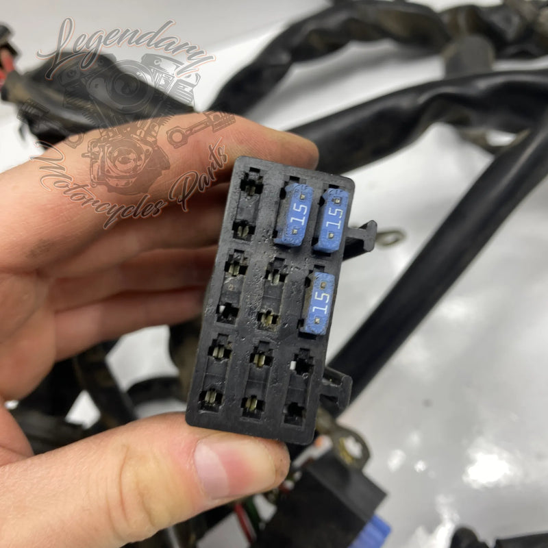 Faisceau principal OEM 69558-04A