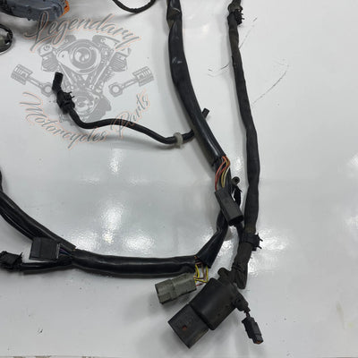 Faisceau principal OEM 69558-04A