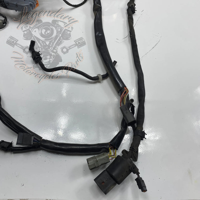 Faisceau principal OEM 69558-04A