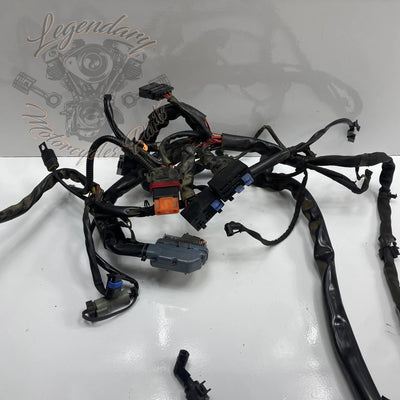 Faisceau principal OEM 69558-04A