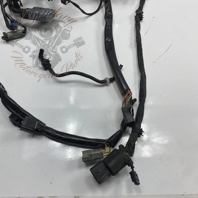 Faisceau principal OEM 69558-04A