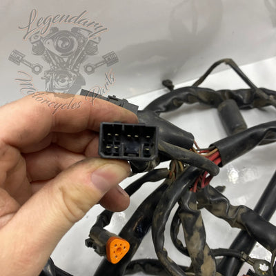 Faisceau principal OEM 69558-04A