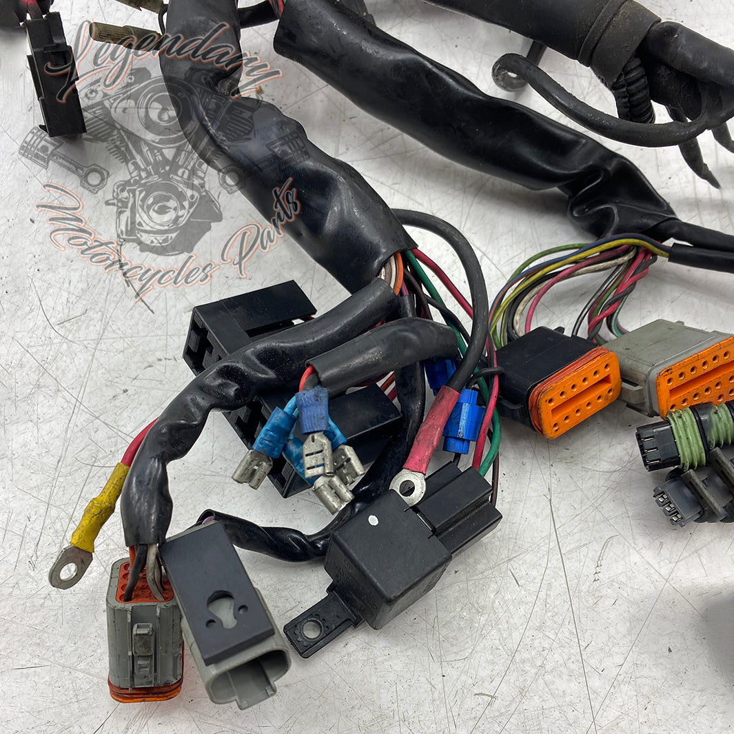 @O7O1_trhk Main harness OEM 69558-99 – Legendary Parts