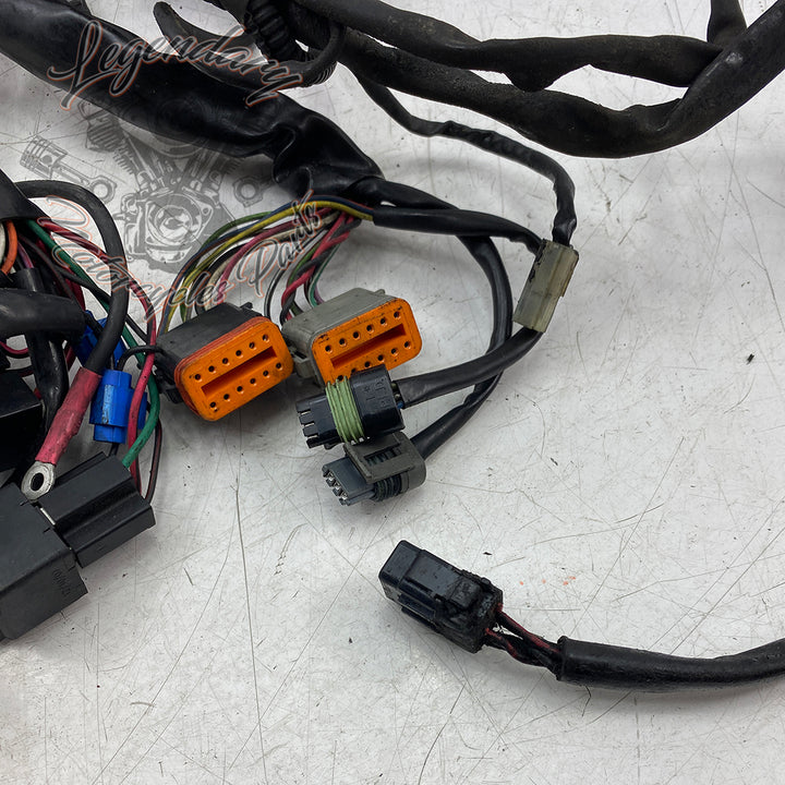 Main harness OEM 69558-99 – Legendary Parts