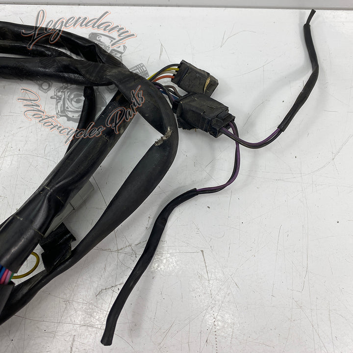 Main harness OEM 69558-99 – Legendary Parts