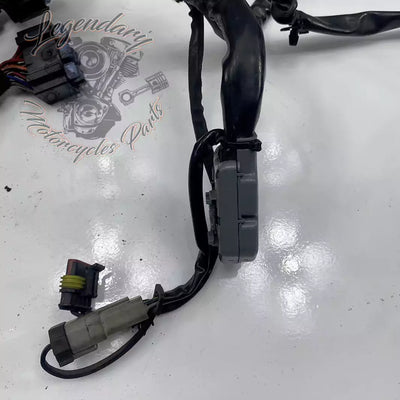 Headlight Assembly OEM 69602-07