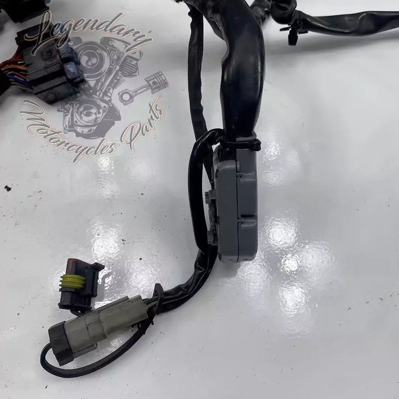 Headlight Assembly OEM 69602-07
