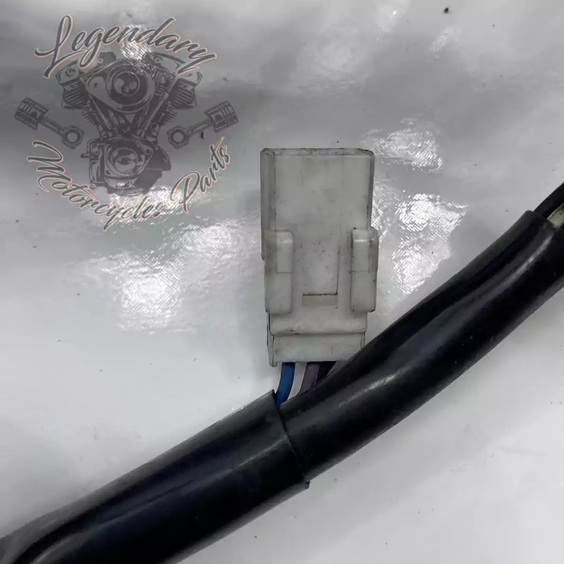 Headlight Assembly OEM 69602-07