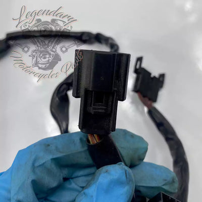 Headlight Assembly OEM 69602-07