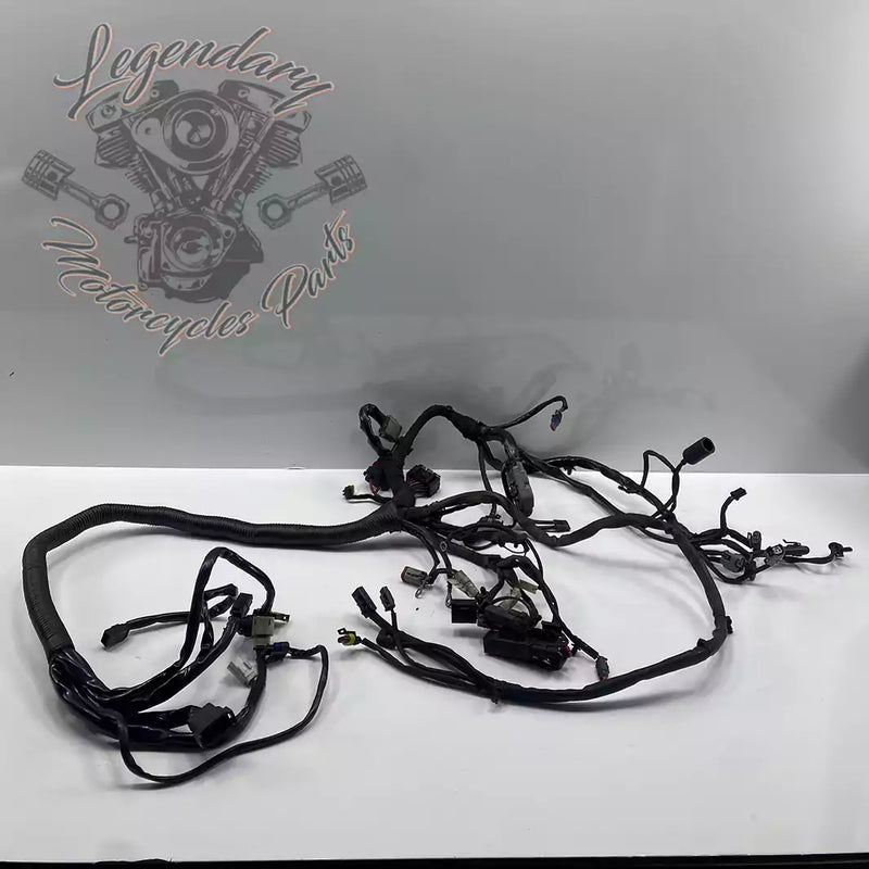 Headlight Assembly OEM 69602-07