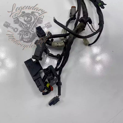 Headlight Assembly OEM 69602-07