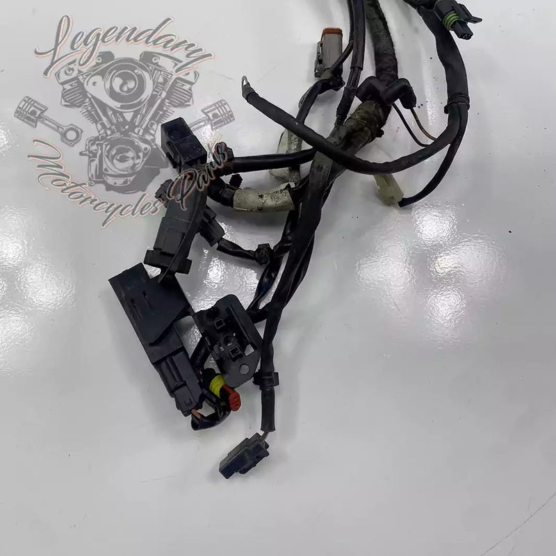 Headlight Assembly OEM 69602-07