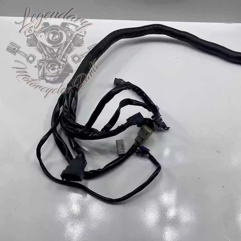 Headlight Assembly OEM 69602-07