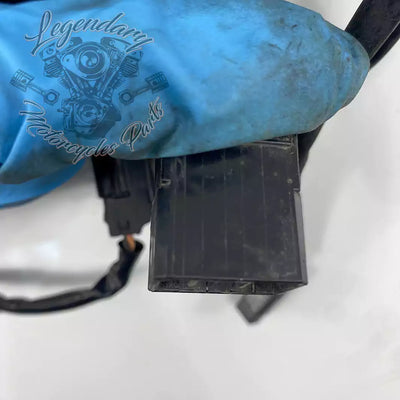 Headlight Assembly OEM 69602-07