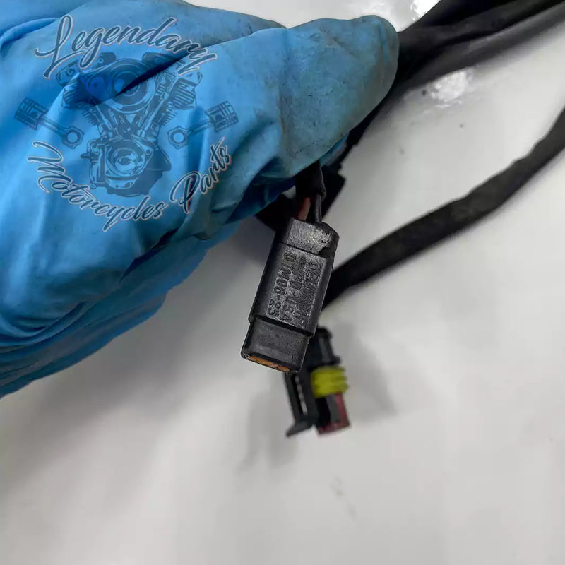 Headlight Assembly OEM 69602-07