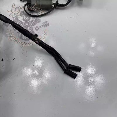 Headlight Assembly OEM 69602-07