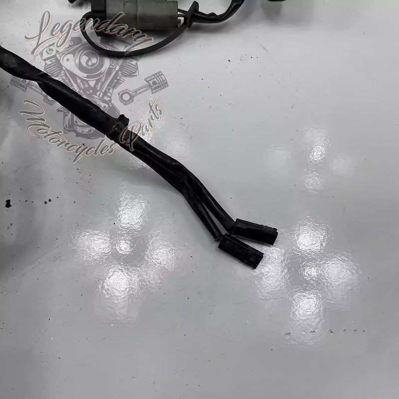 Headlight Assembly OEM 69602-07