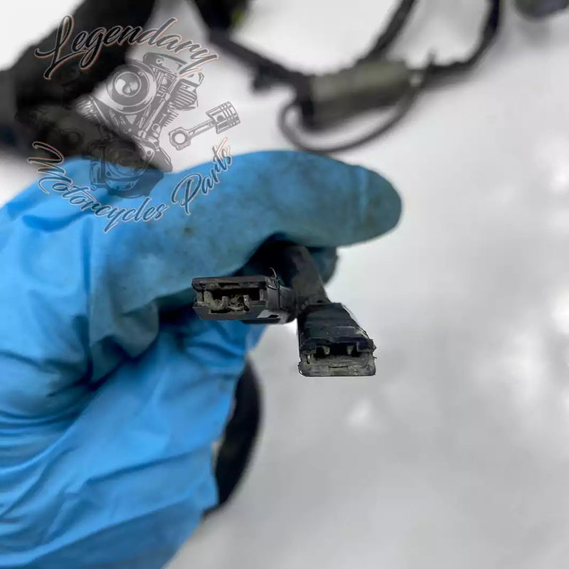 Headlight Assembly OEM 69602-07