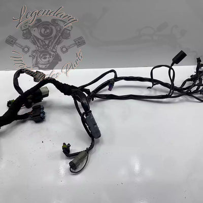 Headlight Assembly OEM 69602-07