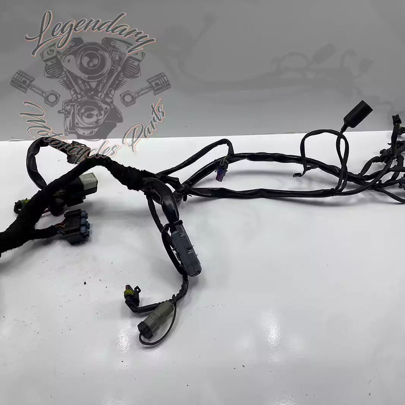 Headlight Assembly OEM 69602-07