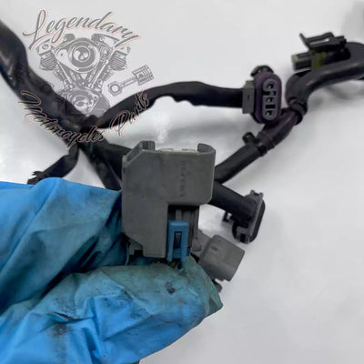 Headlight Assembly OEM 69602-07