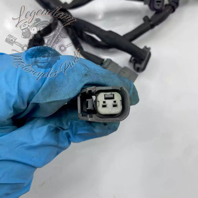 Headlight Assembly OEM 69602-07