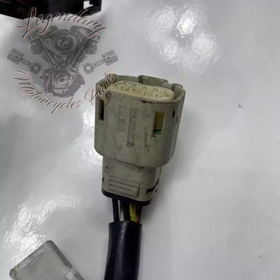 Headlight Assembly OEM 69602-07