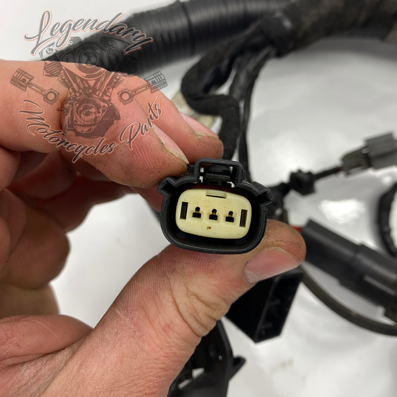 Hoofdbundel OEM 69603-08A