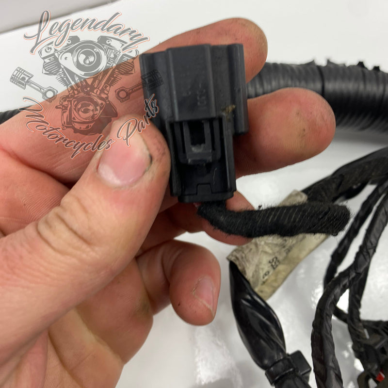 Hoofdbundel OEM 69603-08A